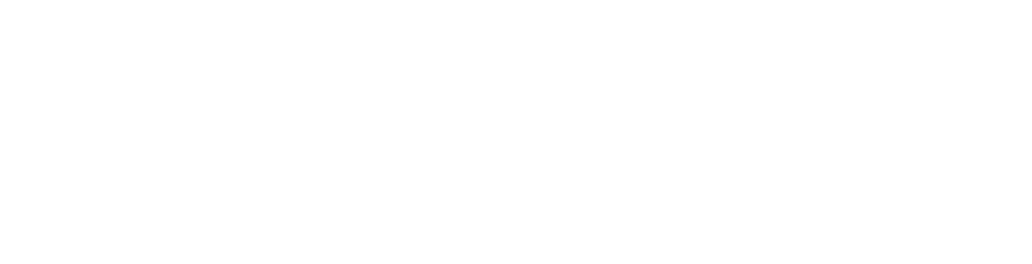 SEOLink.az loqo